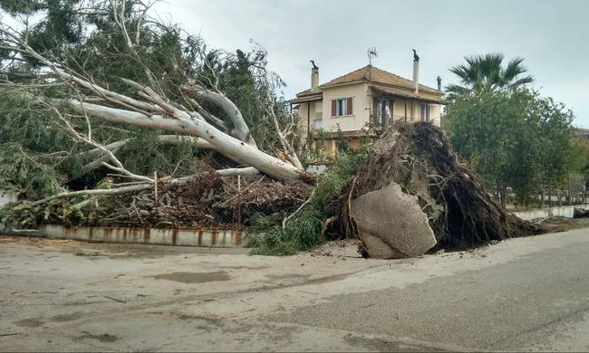 Κακοκαιρία: Με βομβαρδισμένο τοπίο μοιάζει η Κέρκυρα